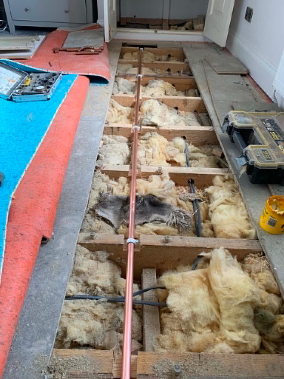 New copper hot water run clipped through the floor joists above the concrete ground floor